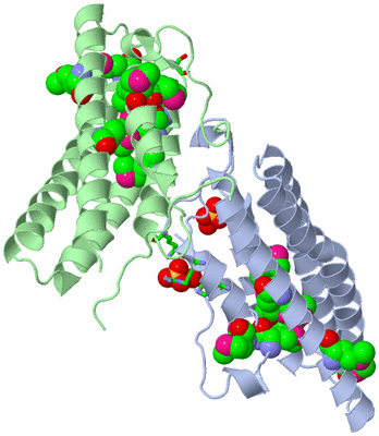 Image Asym. Unit - sites