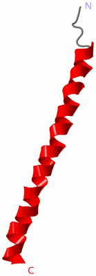 Image Asymmetric Unit