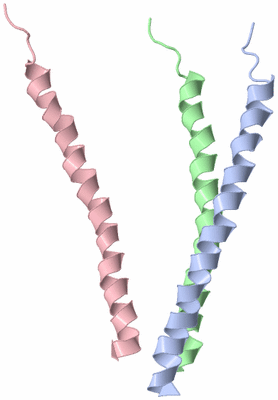 Image Asymmetric Unit