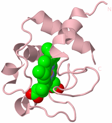 Image Biological Unit 3