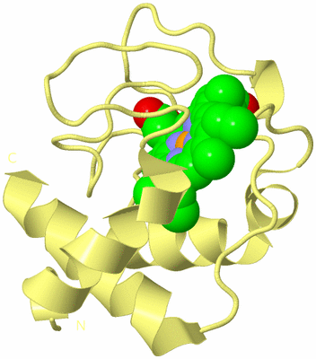 Image Biological Unit 4