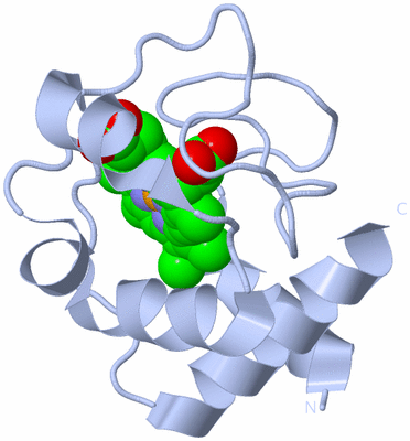 Image Biological Unit 1