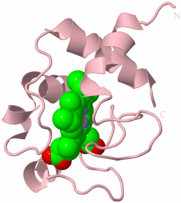 Image Biological Unit 3