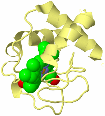 Image Biological Unit 4