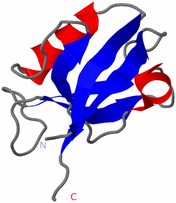 Image NMR Structure - model 1