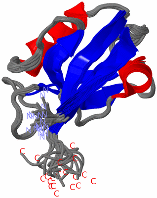 Image NMR Structure - all models