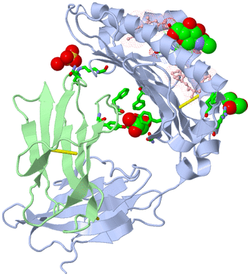 Image Asym./Biol. Unit - sites