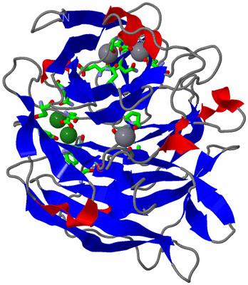 Image Asym./Biol. Unit - sites