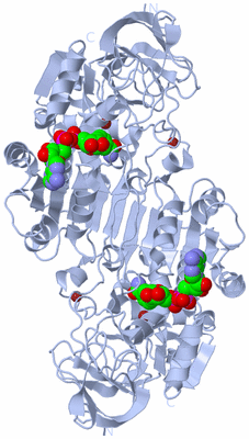 Image Biological Unit 1