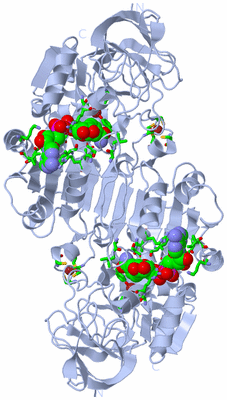 Image Biol. Unit 1 - sites