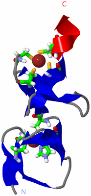 Image NMR Structure - model 1, sites