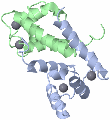 Image NMR Structure - model 1