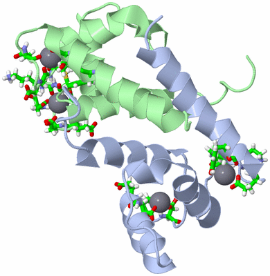 Image NMR Structure - model 1, sites