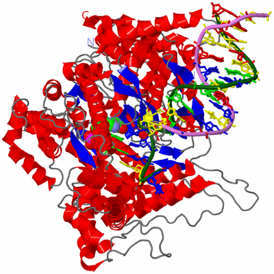 Image Asym./Biol. Unit