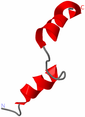 Image NMR Structure - model 1