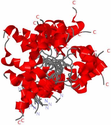 Image NMR Structure - all models