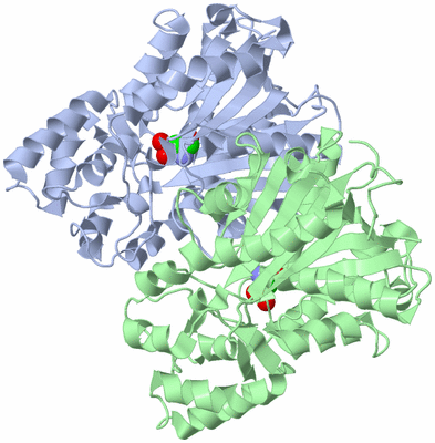 Image Asym./Biol. Unit