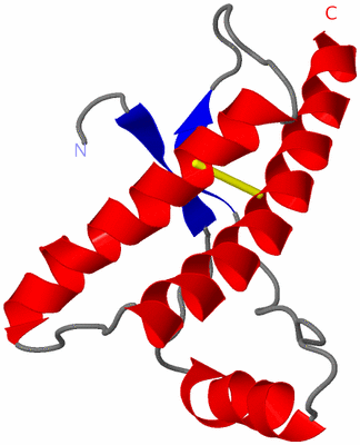 Image NMR Structure - model 1