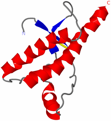 Image NMR Structure - model 1