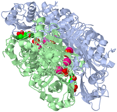 Image Biological Unit 1