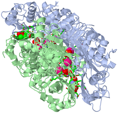 Image Biol. Unit 1 - sites