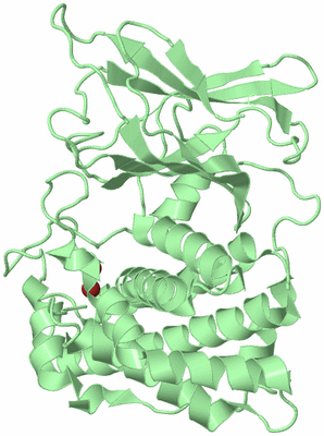 Image Biological Unit 2