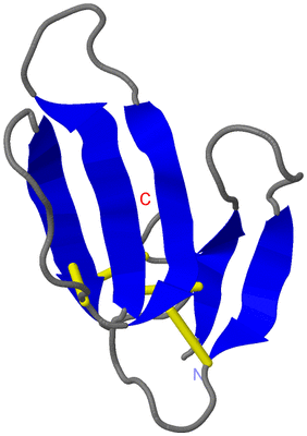 Image Asymmetric Unit