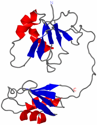 Image NMR Structure - model 1