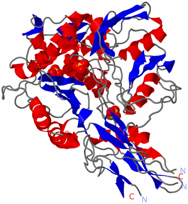 Image Asym./Biol. Unit