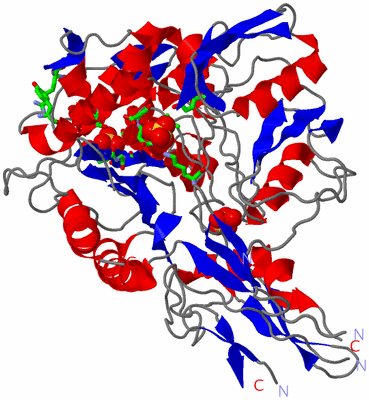 Image Asym./Biol. Unit - sites