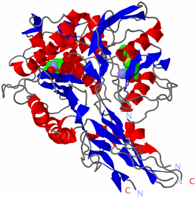 Image Asym./Biol. Unit