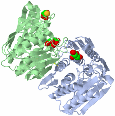 Image Asym./Biol. Unit