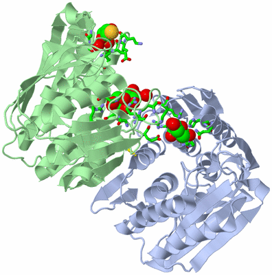 Image Asym./Biol. Unit - sites