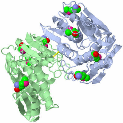 Image Biological Unit 1