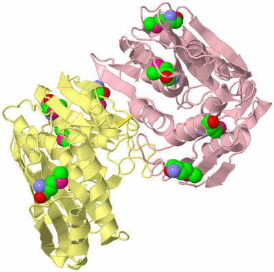 Image Biological Unit 2