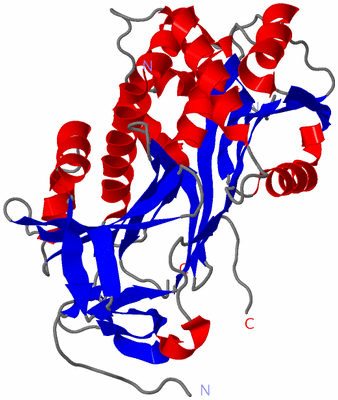 Image Asym./Biol. Unit