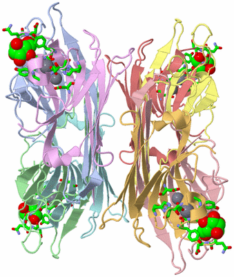 Image Asym./Biol. Unit - sites