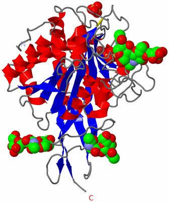 Image Asymmetric Unit