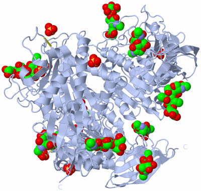 Image Biological Unit 1