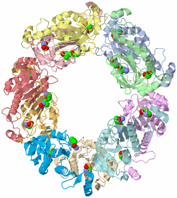 Image Asym./Biol. Unit