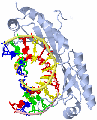 Image Biological Unit 1