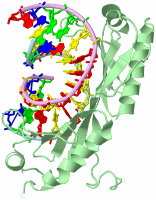 Image Biological Unit 2