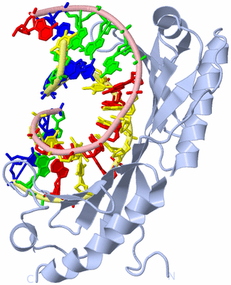 Image Biological Unit 1