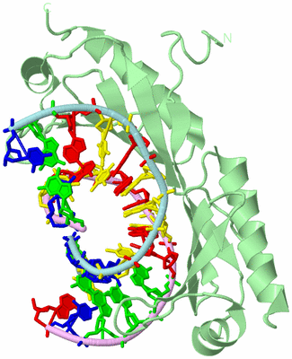 Image Biological Unit 2