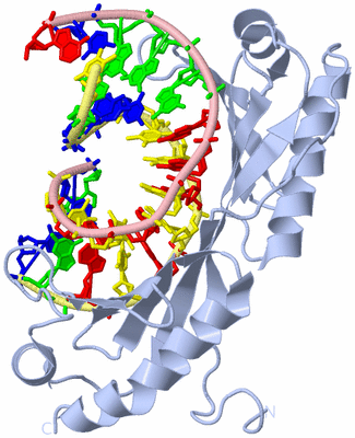 Image Biological Unit 1