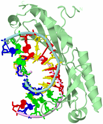 Image Biological Unit 2