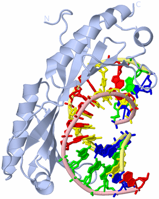 Image Biological Unit 1