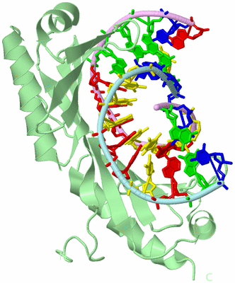 Image Biological Unit 2