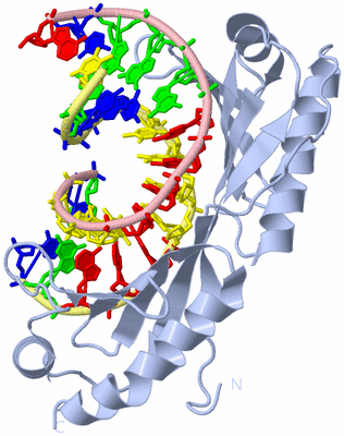 Image Biological Unit 1