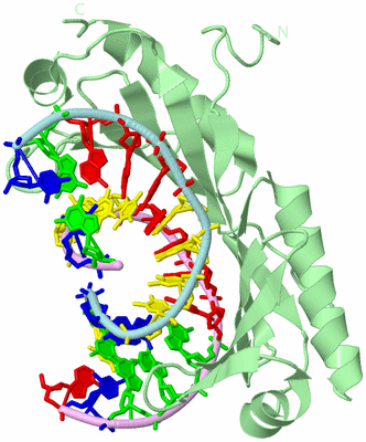 Image Biological Unit 2